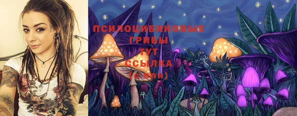 винт Козловка