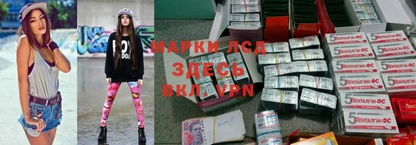 spice Кодинск